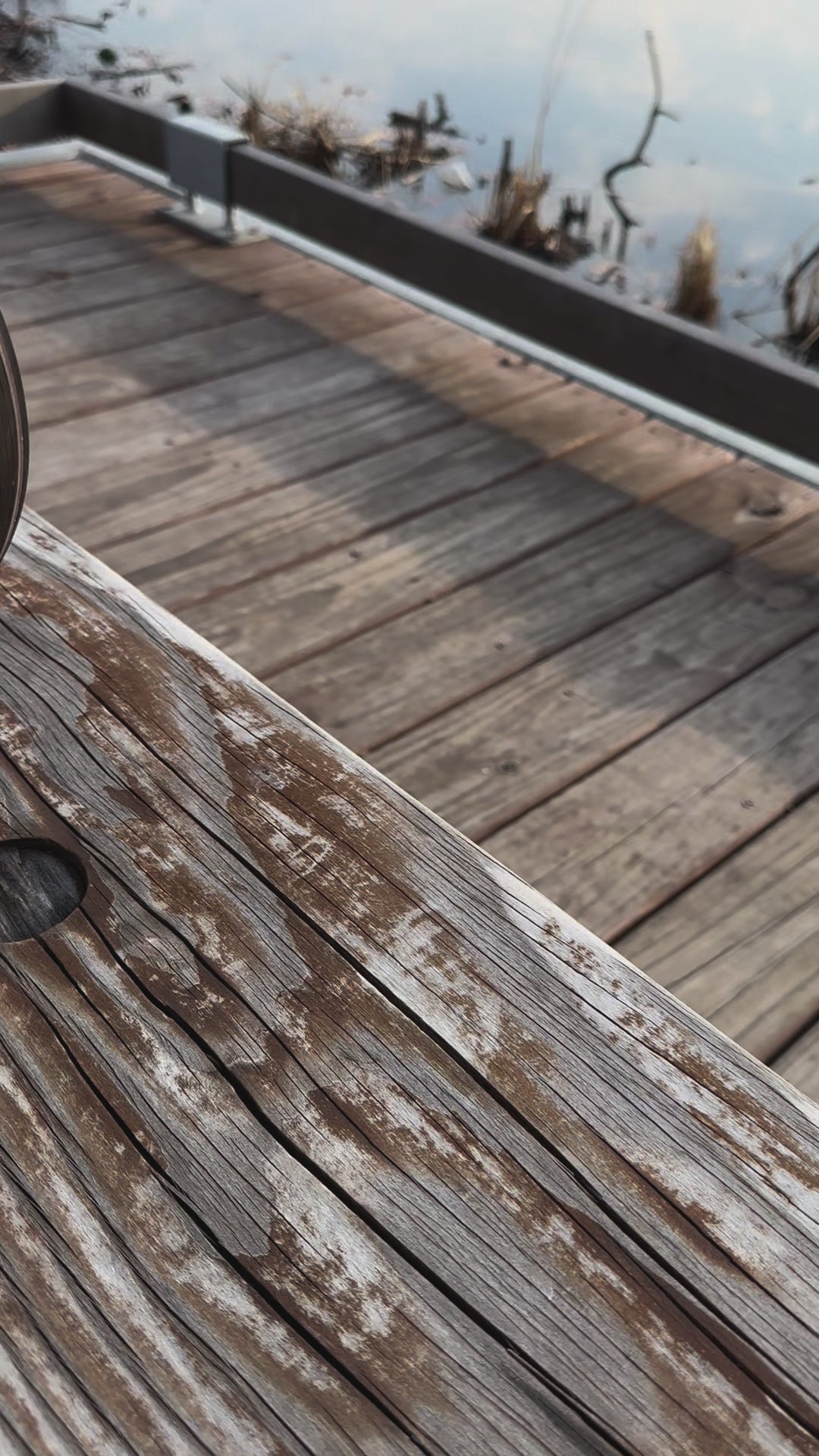 Sea Glass and Shell Display