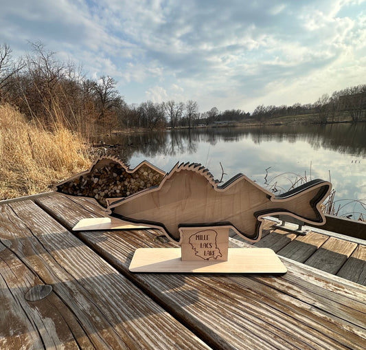 Agate Display | Walleye Rock Display | Personalized Agate Display | Shell Display