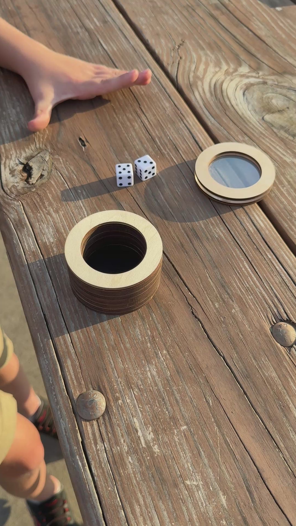 Dice Den Dice Shaker, Magnetic Dice Holder, Dice Cup with Transparent Lid, Travel Dice Shaker